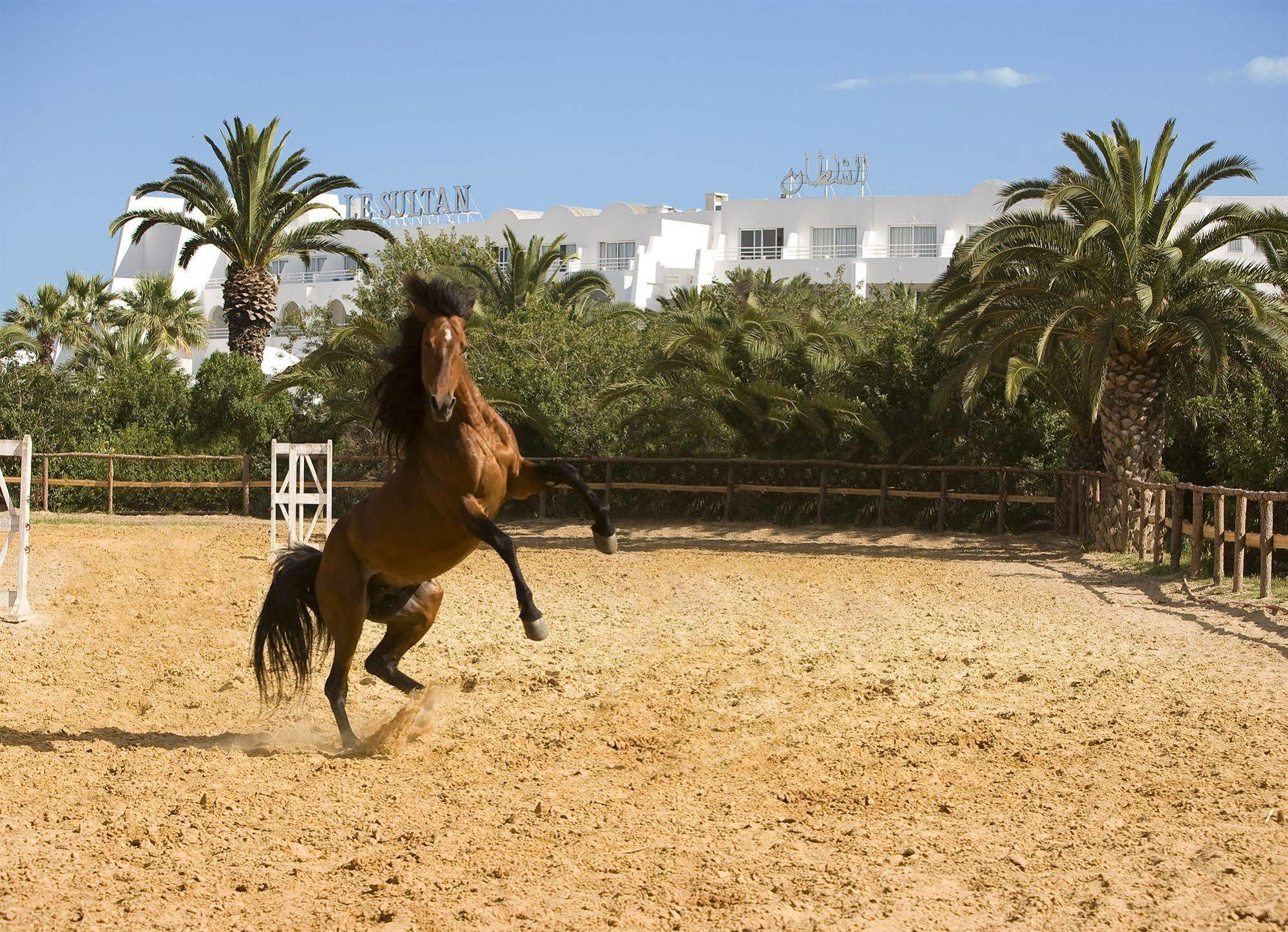 Le Sultan Hotel Hammamet Buitenkant foto