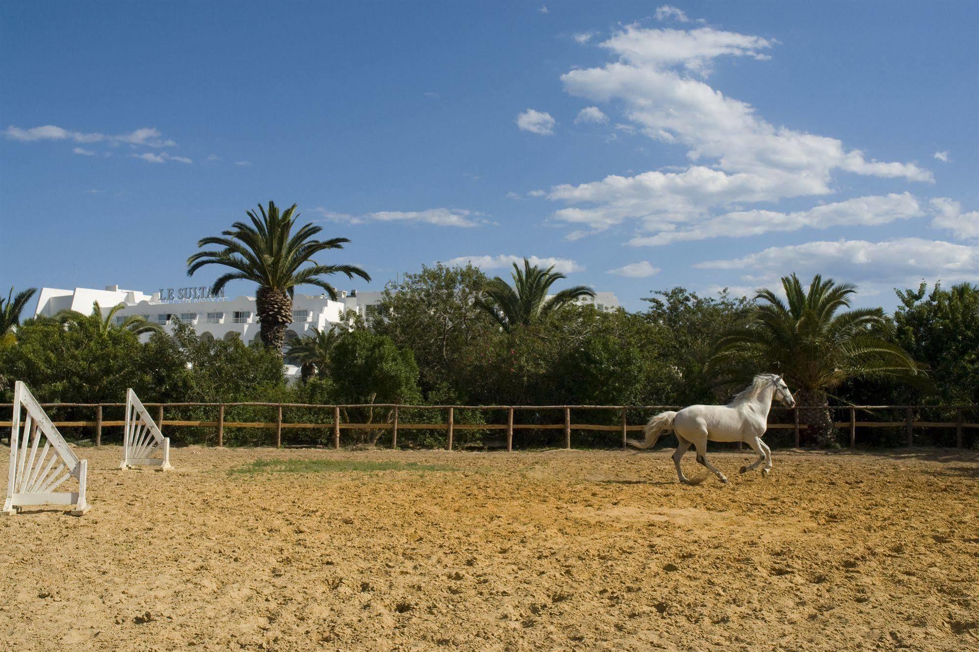 Le Sultan Hotel Hammamet Buitenkant foto
